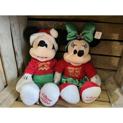 Mickey & Minnie 2020